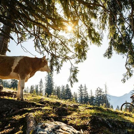 Ferienwohnung Schifterhof Ruhpolding Exteriér fotografie