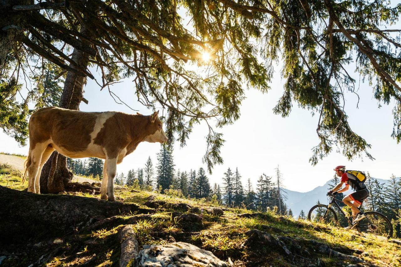 Ferienwohnung Schifterhof Ruhpolding Exteriér fotografie